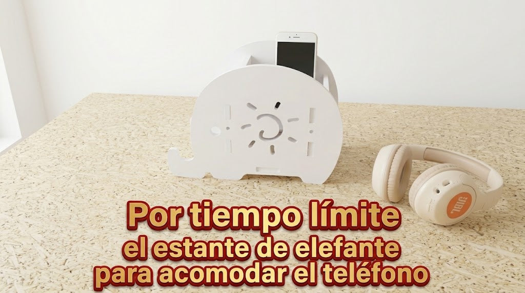 Organizador de Escritorio