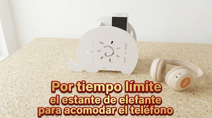 Organizador de Escritorio
